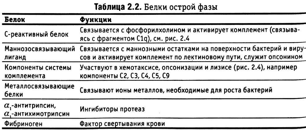 Ионы легких металлов для ферментов могут быть